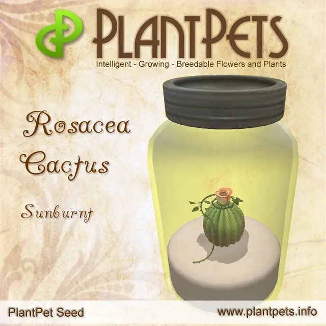Poster for Rosacea Cactus *Sunburnt*
