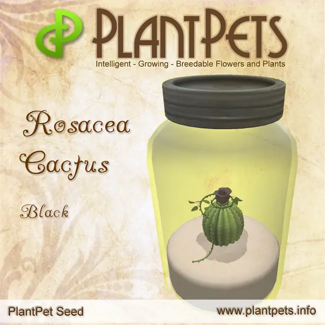 Poster for Rosacea Cactus *Black*