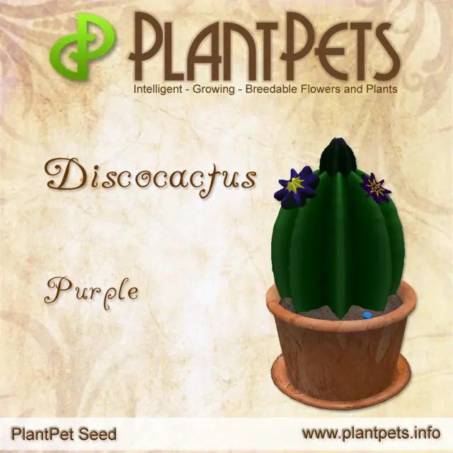 Poster for Discocactus *Purple*