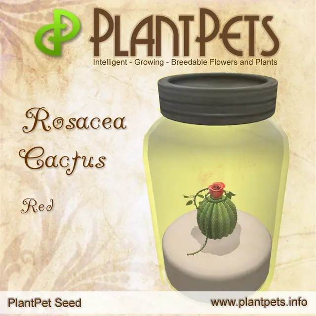 Poster for Rosacea Cactus *Red*