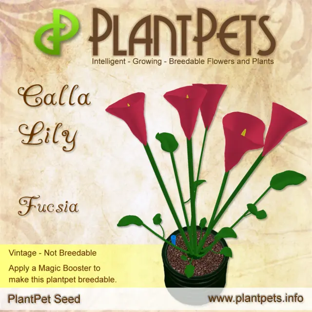 Poster for Calla Lily *Fucsia*